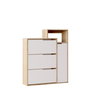 Hanah Home Armario para zapatos Ico3-Sw Roble y Blanco